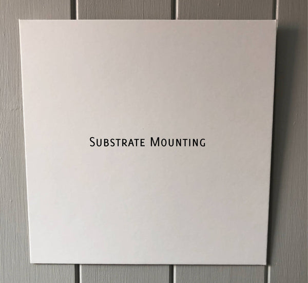 Blackpool 10/11 Team Print